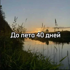 До лета — стикер для MAX