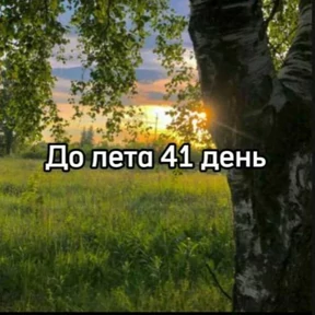 До лета — стикер для MAX