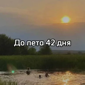 До лета — стикер для MAX