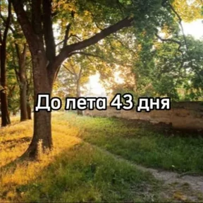 До лета — стикер для MAX