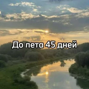 До лета — стикер для MAX
