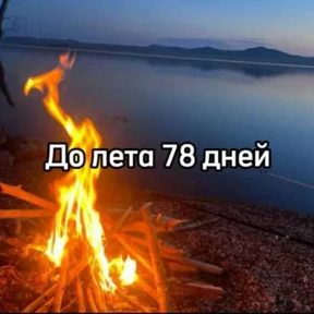 До лета — стикер для MAX