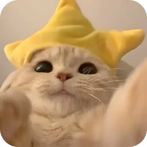 Котики в шапочках — стикер для MAX