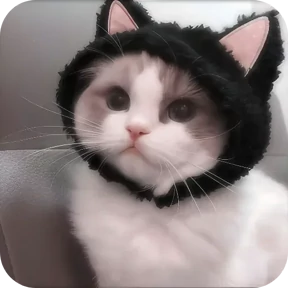Котики в шапочках — стикер для MAX