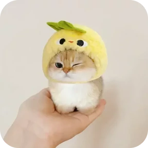 Котики в шапочках — стикер для MAX