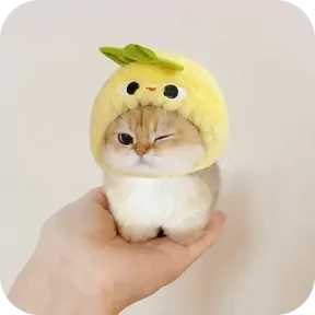 Стикер из сообщения канала