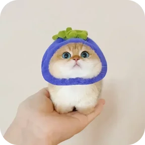 Котики в шапочках — стикер для MAX