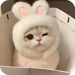 Стикер из сообщения канала