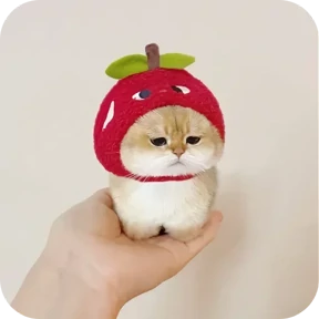 Котики в шапочках — стикер для MAX