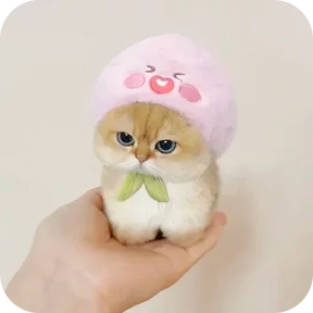 Котики в шапочках — стикер для MAX