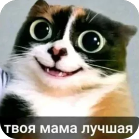 Стикер