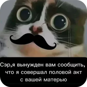 Стикер