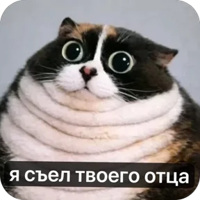 Стикер 2