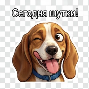Собака — стикер для MAX