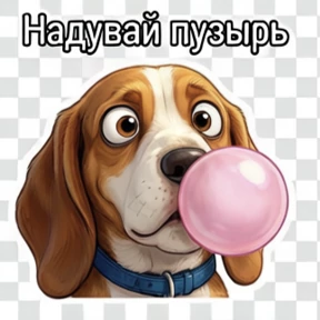 Собака — стикер для MAX