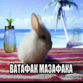 Тикток мемы — стикер для MAX