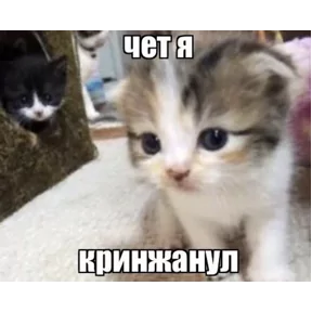 Стикер из сообщения канала