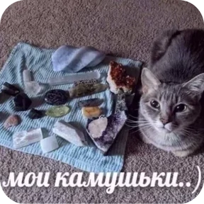 Стикер
