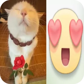 Стикер
