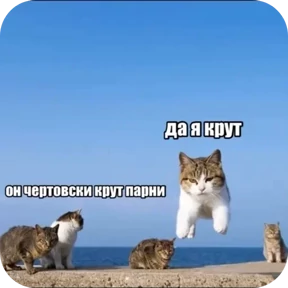 Стикер