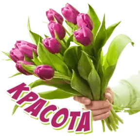Стикер