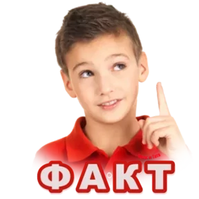 Стикер