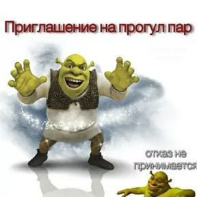 Стикер