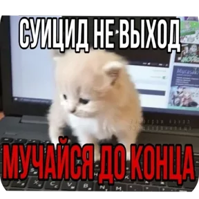 Фото — 27 августа 2026 г. в 08:00:04.956