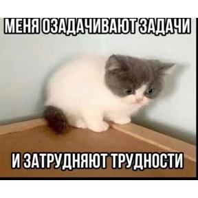 Котные мемесы — стикер для MAX