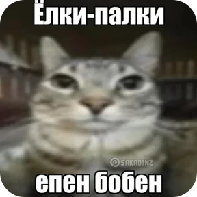 Котные мемесы — стикер для MAX
