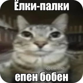 Стикер