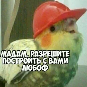 Стикер из сообщения канала