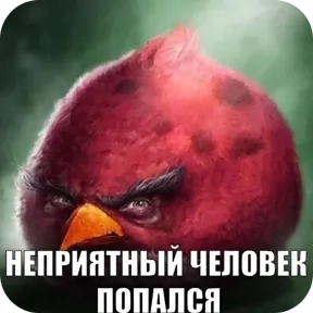 Фото — 25 августа 2026 г. в 09:22:57.662