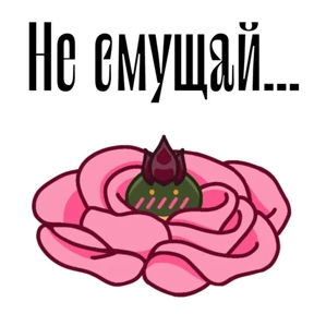 Боброжаба — стикер для MAX