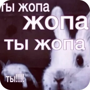 Стикер