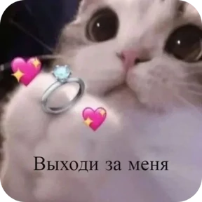 Котяточки — стикер для MAX