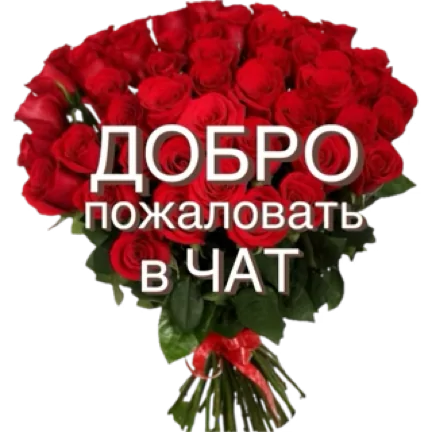 Стикер