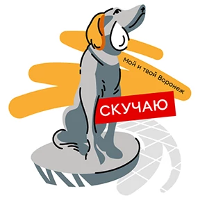 Мой и твой Воронеж — стикер для MAX