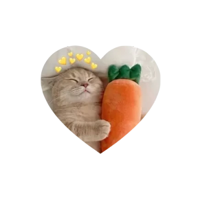 Котики в сердечках — стикер для MAX