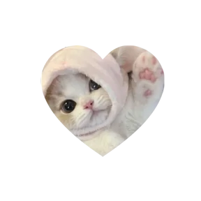Котики в сердечках — стикер для MAX