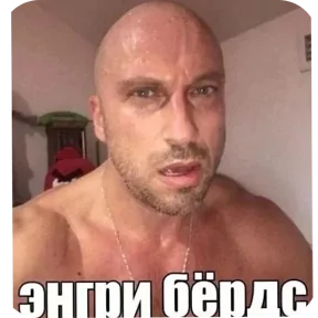 Стикер