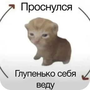 Стикер