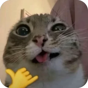 Котятки — стикер для MAX