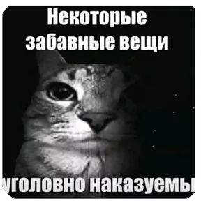 Стикер