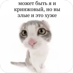 Фото — 19 августа 2026 г. в 06:33:37.310