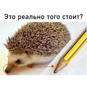Стикер