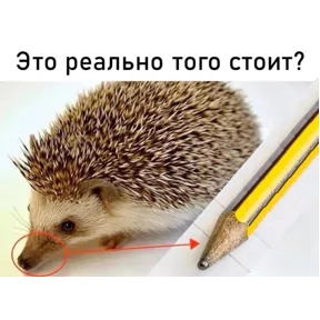 Стикер