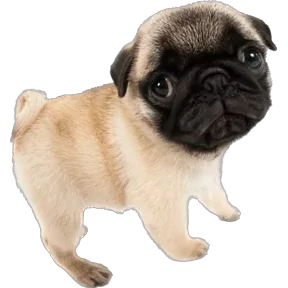 Стикер из сообщения канала