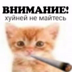 Стикер