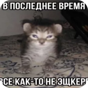 Стикер
